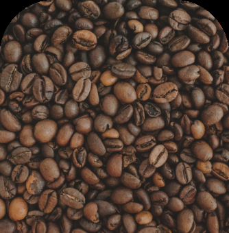 Upcycled Coffee Bean Exfoliator - natural exfoliant