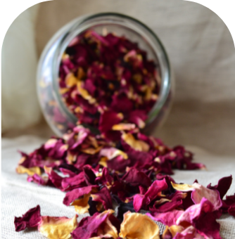 Himalayan Rose Petal Exfoliator - natural exfoliant
